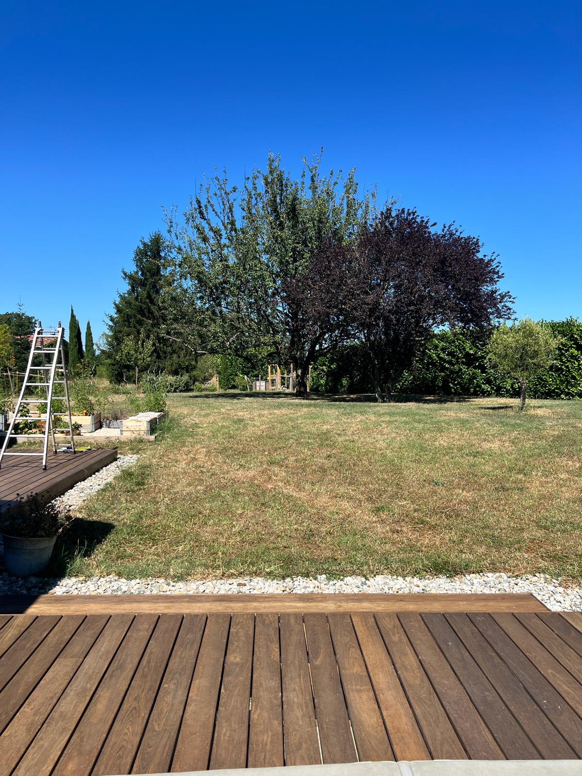 Before image